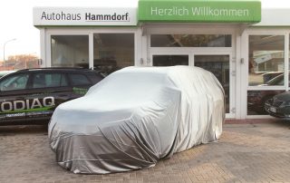 Autohaus Hammdorf - Anzeige Skoda Karoq
