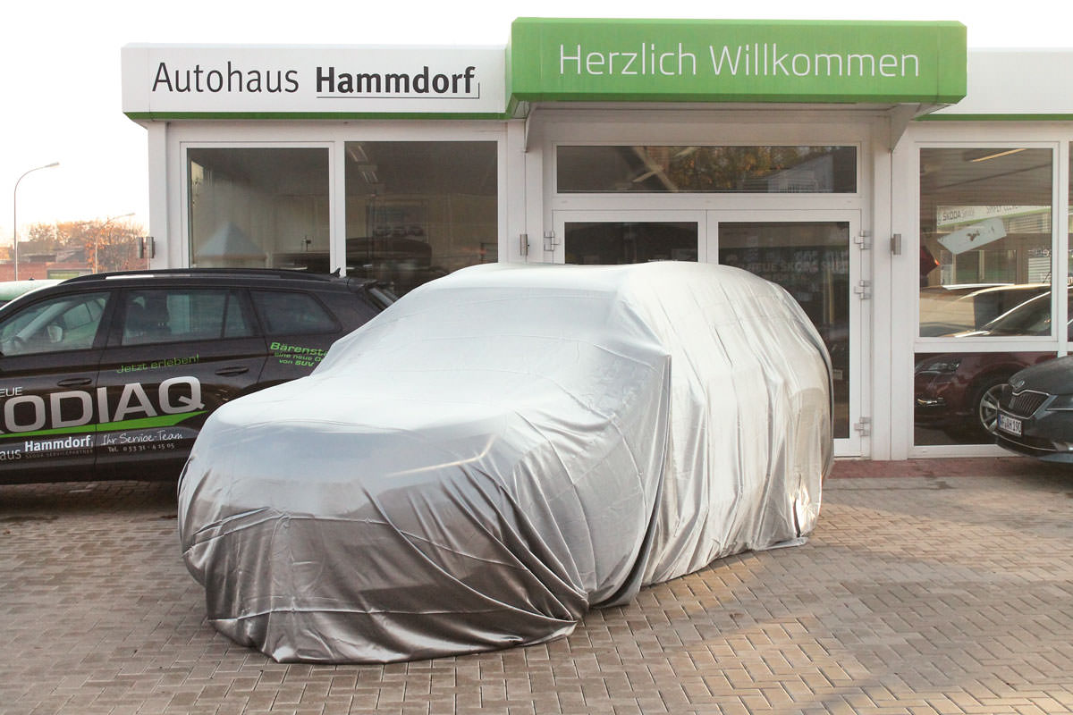 Autohaus Hammdorf - Anzeige Skoda Karoq