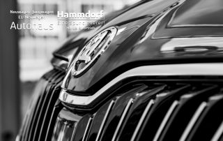 Autohaus Hammdorf