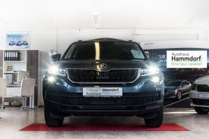 Autohaus Hammdorf - Skoda Kodiaq 2017