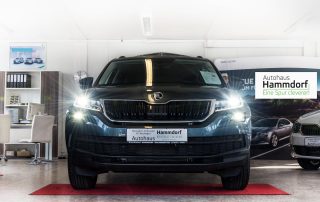 Autohaus Hammdorf - Skoda Kodiaq 2017