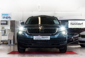 Autohaus Hammdorf - Skoda Kodiaq 2017