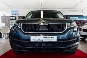 Autohaus Hammdorf - Skoda Kodiaq 2017