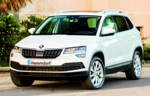 Autohaus Hammdorf - Skoda Karoq 2017