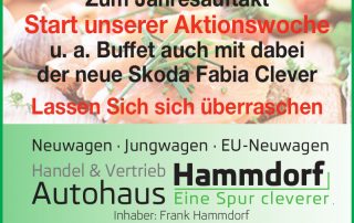 Autohaus Hammdorf - Buffet 2018