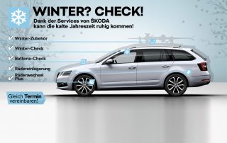 Hammdorf Wintercheck 2018