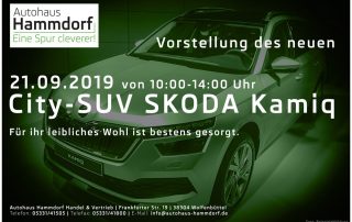 Autohaus Hammdorf - Skoda Kamiq 2019 Anzeige