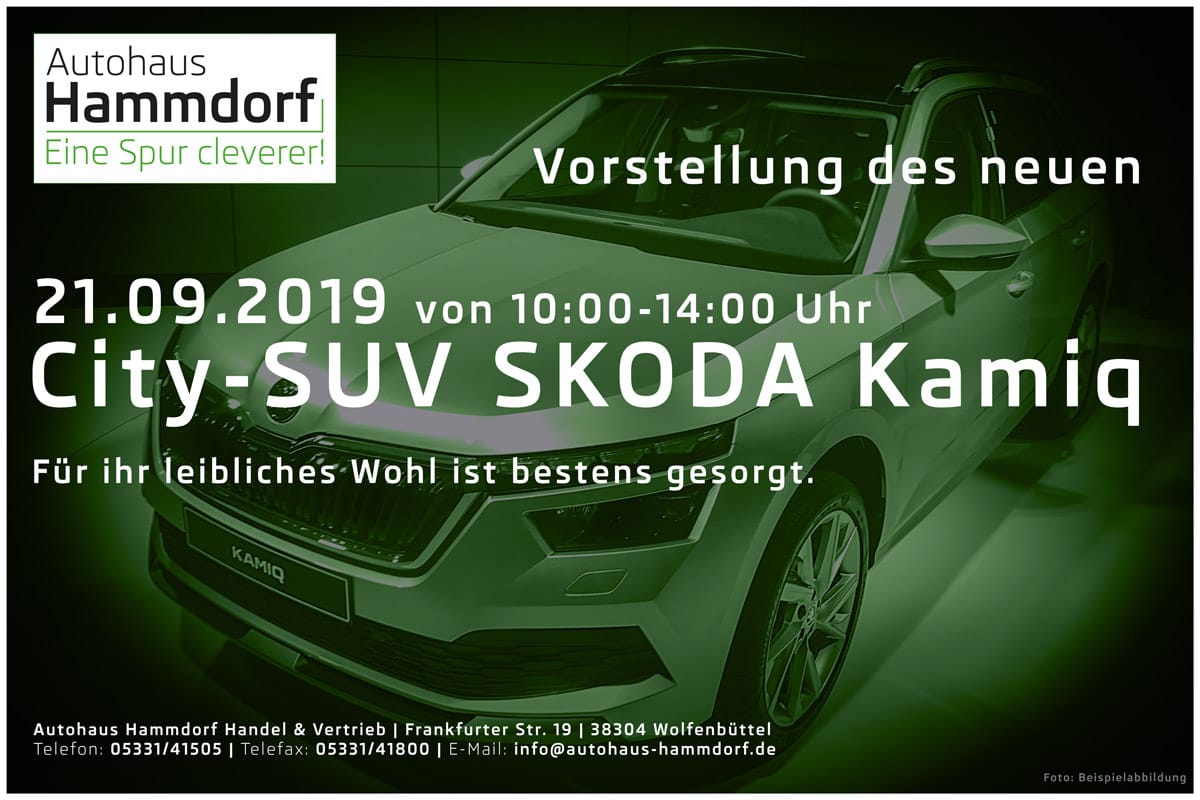 Autohaus Hammdorf - Skoda Kamiq 2019 Anzeige