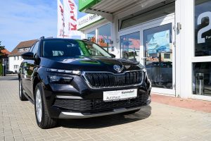 Autohaus Hammdorf - Skoda Kamiq 2019