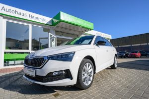 Autohaus Hammdorf - Skoda Scala 2019