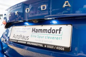 Autohaus Hammdorf - Skoda Octavia 2020 Blau