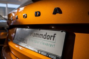 Autohaus Hammdorf - Skoda Fabia 2021 Orange