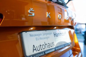 Autohaus Hammdorf - Skoda Fabia 2021 Orange