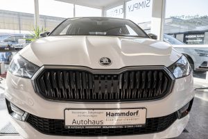 Autohaus Hammdorf - Skoda Automobil