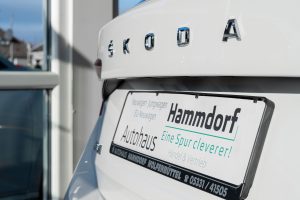 Autohaus Hammdorf - Skoda Automobil